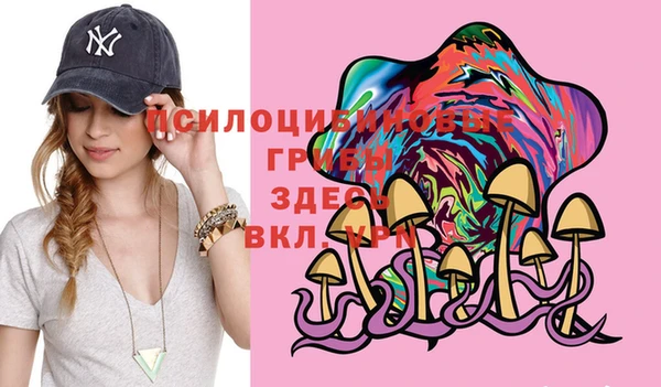 дурь Абдулино