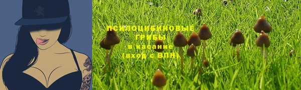 наркотики Абаза