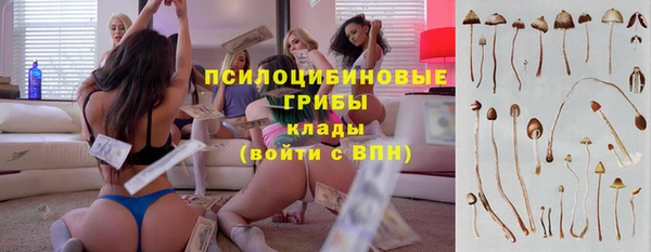дурь Абдулино