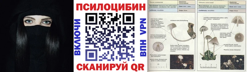 Псилоцибиновые грибы мухоморы Северская